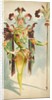 Costume design for a male Orchide by Attilio Comelli