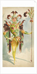 Costume design for a male Orchide by Attilio Comelli