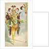 Costume design for a male Orchide by Attilio Comelli