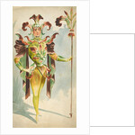 Costume design for a male Orchide by Attilio Comelli