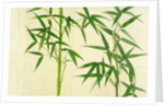 Bamboo by Unknown