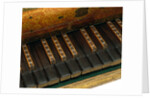 Virginal, detail of keyboard. Italy, late 16th century by Giovanni Baffo