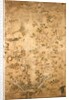 Wallpaper. China, mid-18th century by Unknown