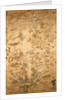 Wallpaper. China, mid-18th century by Unknown