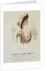 Model Wearing a Hat. France, 19th century by Anonymous