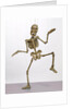 Trick Marionette by Unknown