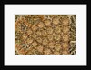 Bath towel by Unknown