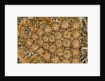 Bath towel by Unknown