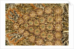 Bath towel by Unknown