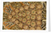 Bath towel by Unknown