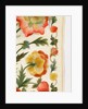 Kerchief by Unknown