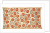 Cover, detail. Turkey, Ottoman period, 18th-19th century by Unknown
