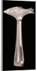 Sardine Tongs by George Shadford Lee and Henry Wigfull