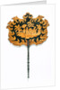 Fan. England, 1800-25 by Unknown