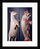 Heraldic Salmon and Ram. England, early 16th century by Unknown