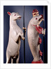 Heraldic Salmon and Ram. England, early 16th century by Unknown