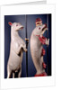 Heraldic Salmon and Ram. England, early 16th century by Unknown