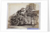 Scotch Firs, Albany Warren by Charles Thurston Thompson