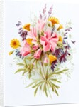 Nipplewort, Musk Marrow and Tufted Vetch. London, England, late 19th century by Unknown