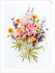 Nipplewort, Musk Marrow and Tufted Vetch. London, England, late 19th century by Unknown