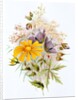 Wildflower bunch. London, England, late 19th century by Unknown