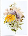 Wildflower bunch. London, England, late 19th century by Unknown