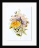 Wildflower bunch. London, England, late 19th century by Unknown