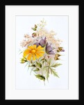 Wildflower bunch. London, England, late 19th century by Unknown