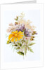 Wildflower bunch. London, England, late 19th century by Unknown