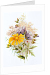 Wildflower bunch. London, England, late 19th century by Unknown