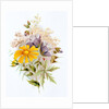 Wildflower bunch. London, England, late 19th century by Unknown