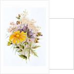 Wildflower bunch. London, England, late 19th century by Unknown