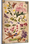 Front cover with flowers, fruits and exotic birds by Elizabeth Leveson-Gower