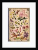 Front cover with flowers, fruits and exotic birds by Elizabeth Leveson-Gower