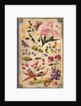 Front cover with flowers, fruits and exotic birds by Elizabeth Leveson-Gower