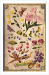 Front cover with flowers, fruits and exotic birds by Elizabeth Leveson-Gower