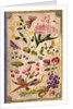 Front cover with flowers, fruits and exotic birds by Elizabeth Leveson-Gower