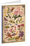 Front cover with flowers, fruits and exotic birds by Elizabeth Leveson-Gower