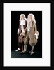Marriage suits. England, 1673 by Unknown