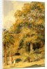 Tamarind and Wild Date Trees Beach Candy by William Carpenter