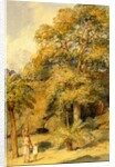 Tamarind and Wild Date Trees Beach Candy by William Carpenter