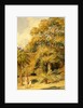 Tamarind and Wild Date Trees Beach Candy by William Carpenter