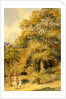 Tamarind and Wild Date Trees Beach Candy by William Carpenter
