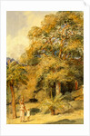 Tamarind and Wild Date Trees Beach Candy by William Carpenter