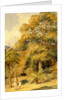 Tamarind and Wild Date Trees Beach Candy by William Carpenter