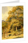 Tamarind and Wild Date Trees Beach Candy by William Carpenter