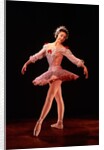 Margot Fonteyn as Princess Aurora in Marius Petipa's ballet The Sleeping Beauty by Houston Rogers