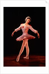Margot Fonteyn as Princess Aurora in Marius Petipa's ballet The Sleeping Beauty by Houston Rogers