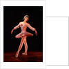 Margot Fonteyn as Princess Aurora in Marius Petipa's ballet The Sleeping Beauty by Houston Rogers