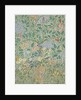 The Garden of Eden by Charles Francis Annesley Voysey
